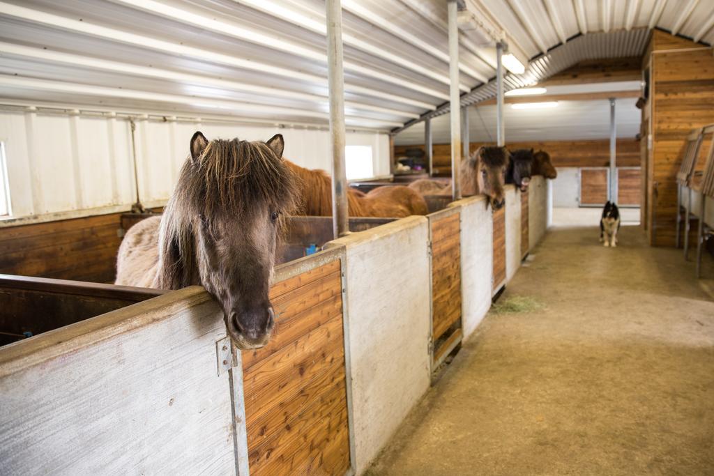 Skalinn Between Gullfoss And Geysir - Myrkholt Farm Haukadalur 외부 사진