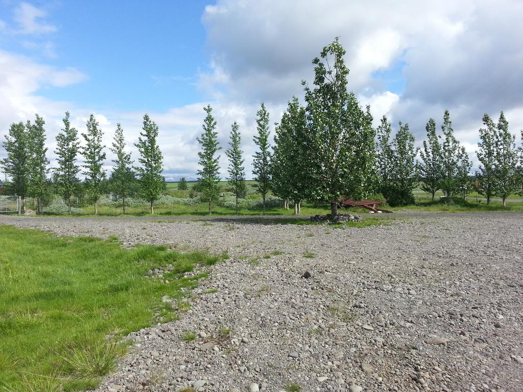 Skalinn Between Gullfoss And Geysir - Myrkholt Farm Haukadalur 외부 사진