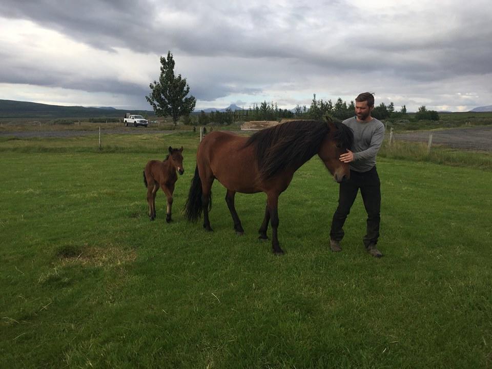 Skalinn Between Gullfoss And Geysir - Myrkholt Farm Haukadalur 외부 사진